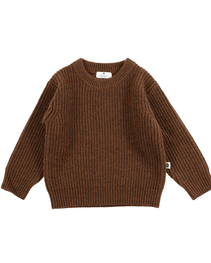 Gestrickter Wollpullover für Babys – Merinowolle – Braun