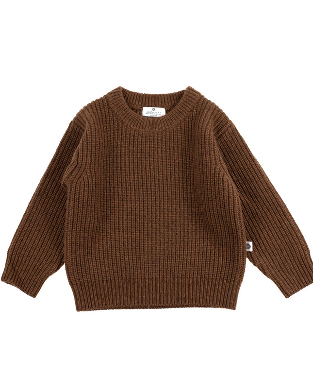 Gestrickter Wollpullover für Babys – Merinowolle – Braun